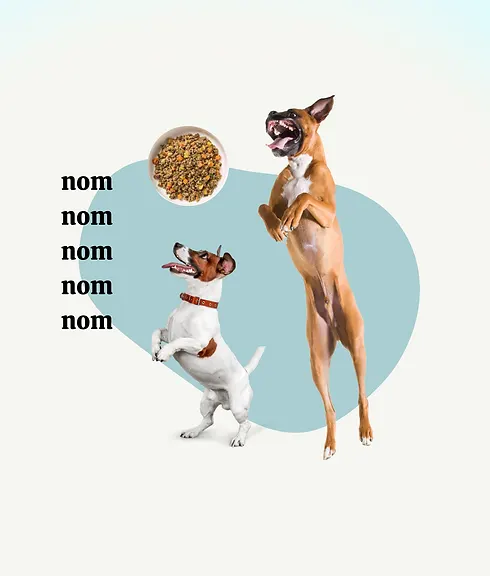 recipes (5).png