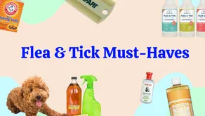 8 must-haves for flea and tick season