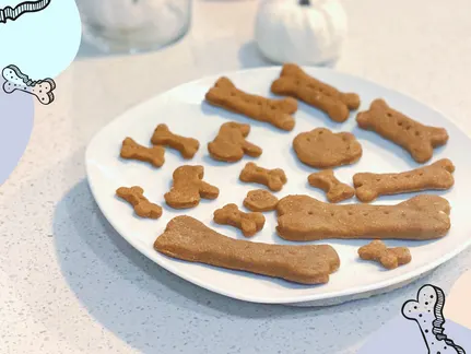 Homemade Pumpkin Peanut Butter Dog Treats