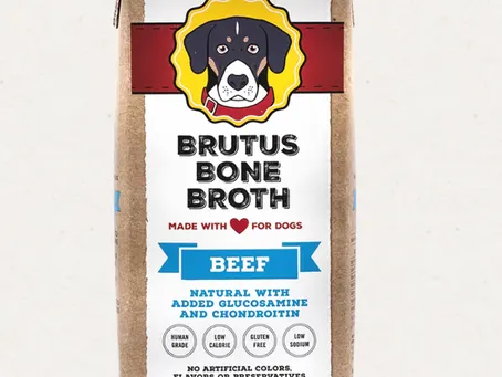 5 Must-Haves: Dog Nutrition Edition