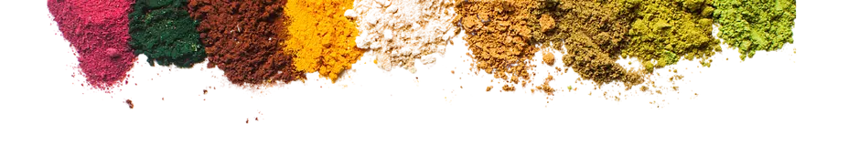 Copy of Better Pup (9).png