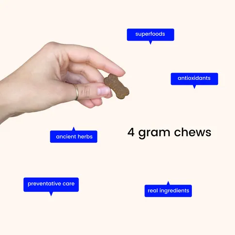 4.png
